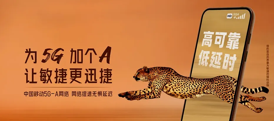 易县易县易州镇 移动宽带